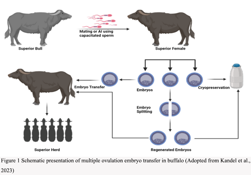 Quantitative Genetics in Livestock Breeding: Principles and ...