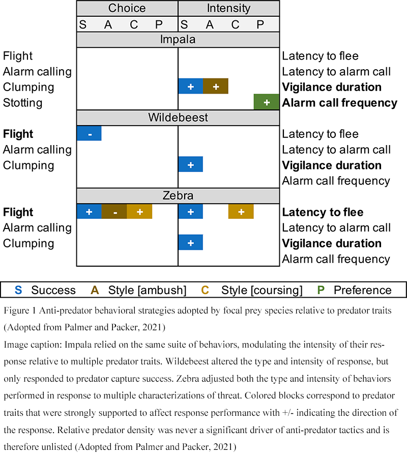 Adaptive Strategies of Mammals to Changing Environments: Insights from ...