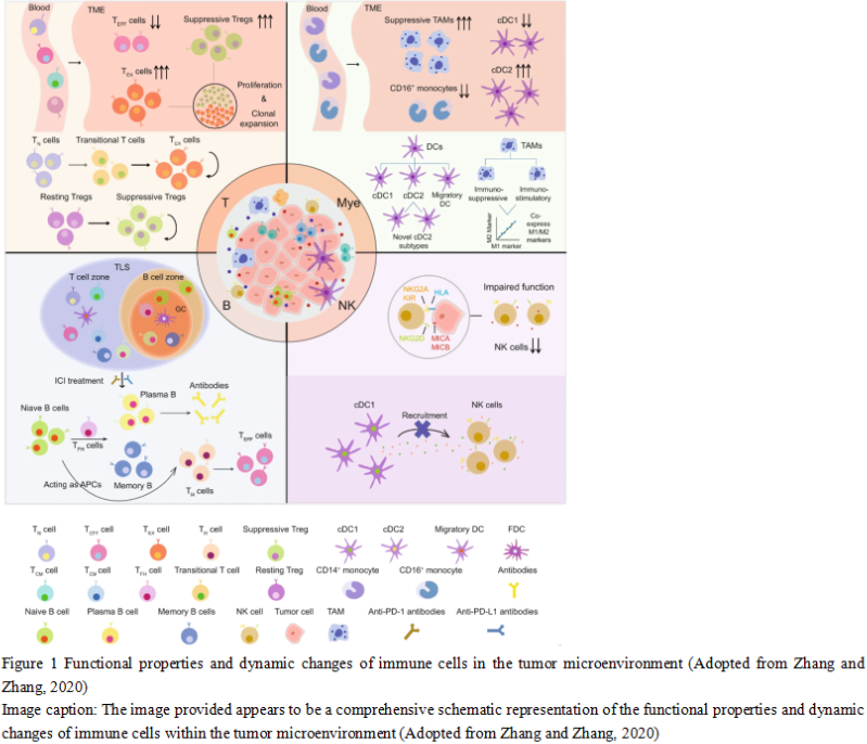 Animal Models in Immunotherapy: Potential and Limitations | Si ...