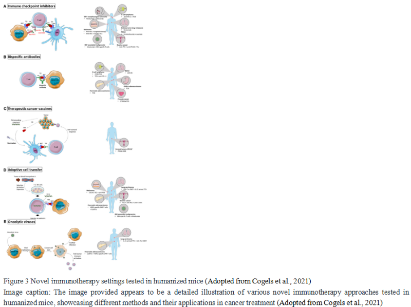 Animal Models in Immunotherapy: Potential and Limitations | Si ...